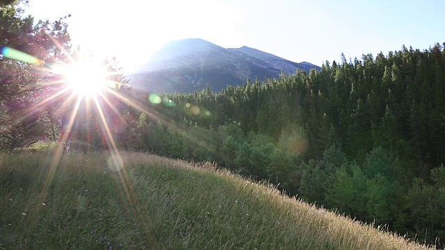 山地自行车沿着草地的路径，用智能手机拍照视频素材