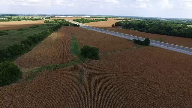 Pflugerville Corn Fields outside Round rock and Austin Hill Country Landscape无人机飞过干玉米田视频素材