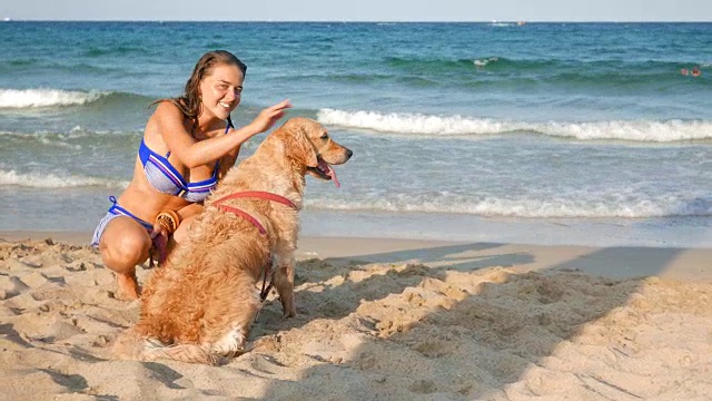 美丽的女孩在海滩上抚摸她的金毛猎犬视频素材