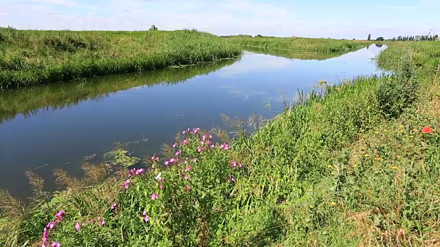 夏天，在英国剑桥郡沼泽的一个沼泽排水水道上视频素材