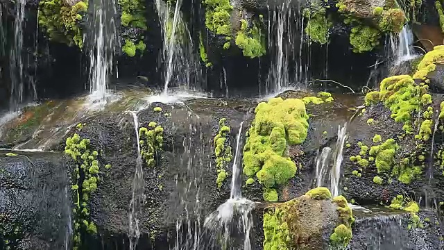 长满青苔的瀑布视频素材