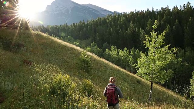 徒步者沿着草地山脊散步，眺望高山和森林视频素材