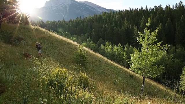 徒步者沿着草地山脊散步，眺望高山和森林视频素材