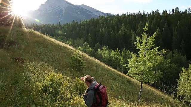 徒步者沿着草地山脊散步，眺望高山和森林视频素材