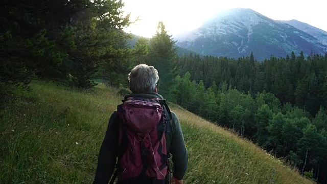 徒步旅行者穿过草地，眺望群山和森林视频素材