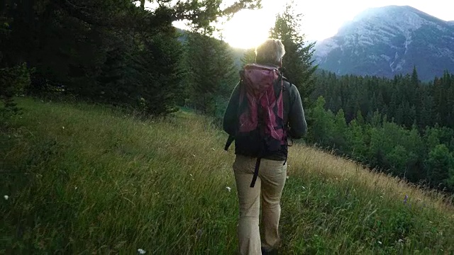 徒步旅行者穿过草地，眺望群山和森林视频素材