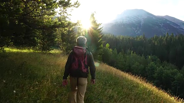 徒步旅行者穿过草地，眺望群山和森林视频素材