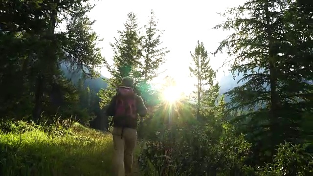 徒步旅行者穿过草地，眺望群山和森林视频素材