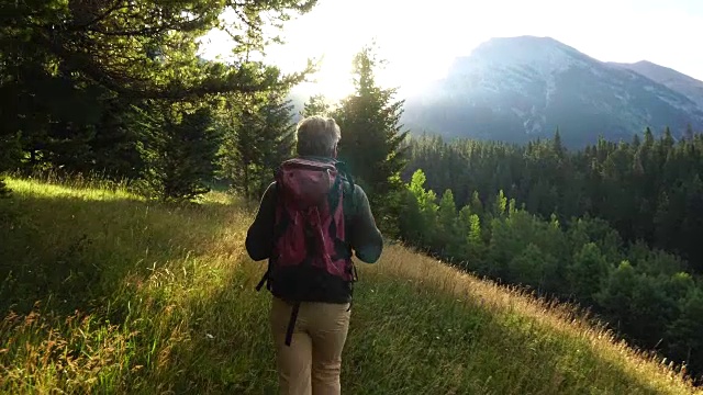 徒步旅行者穿过草地，眺望群山和森林视频素材