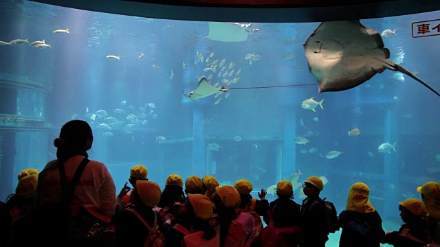 孩子们参观水族馆视频素材