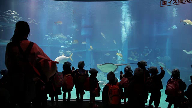 孩子们参观水族馆视频素材