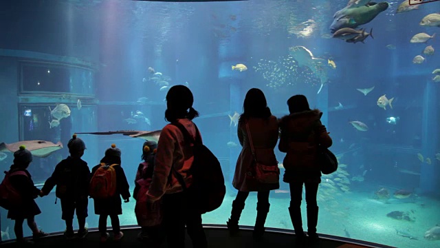 孩子们参观水族馆视频素材