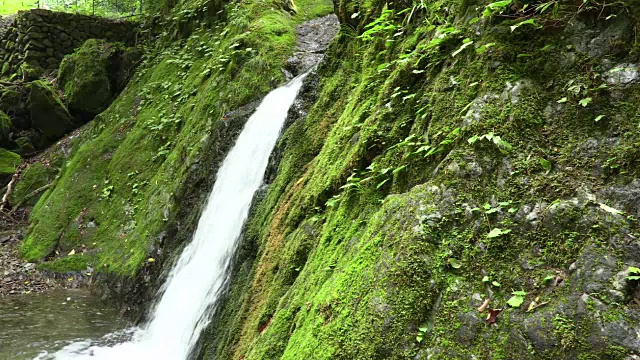 日本清流视频素材