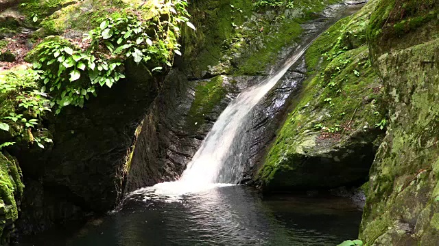 日本清流视频素材