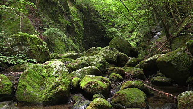 日本清流视频素材