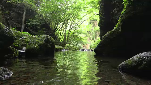 日本清流视频素材