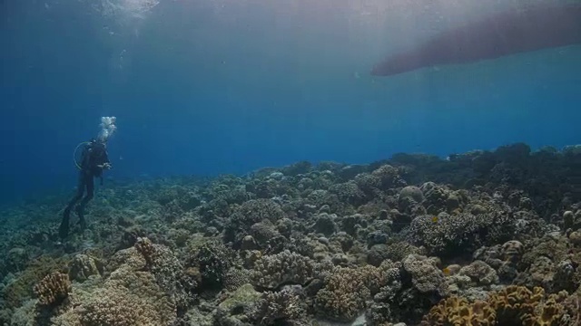 海面，阳光，潜水视频素材