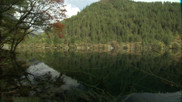 中国九寨沟，山和树倒映在静止的湖上视频素材