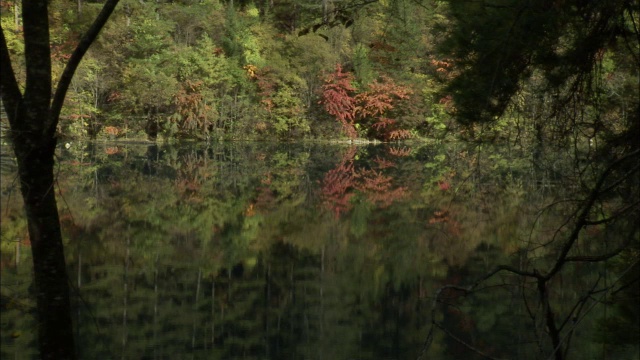 秋叶倒映在静止的湖(湖剑珠海?)，九寨沟，中国视频素材