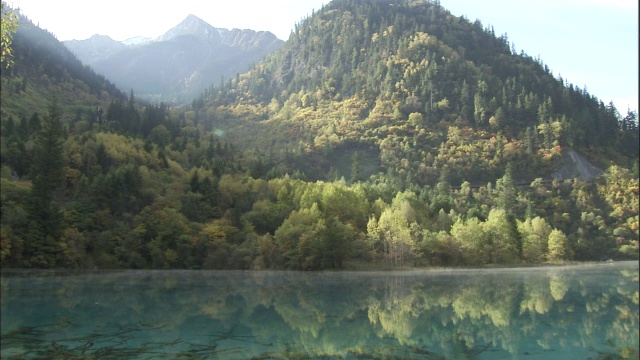 中国九寨沟五花湖岸边的树木视频素材