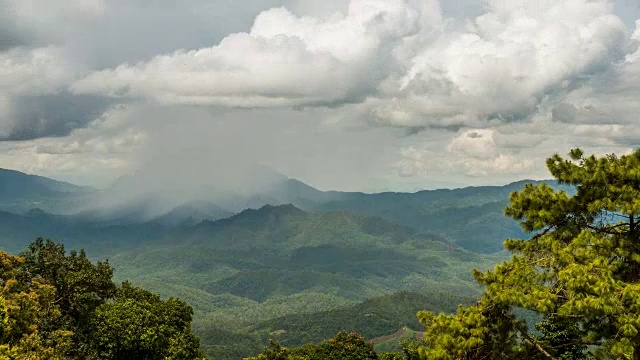 雨在下雨前落在热带雨林的山上视频素材