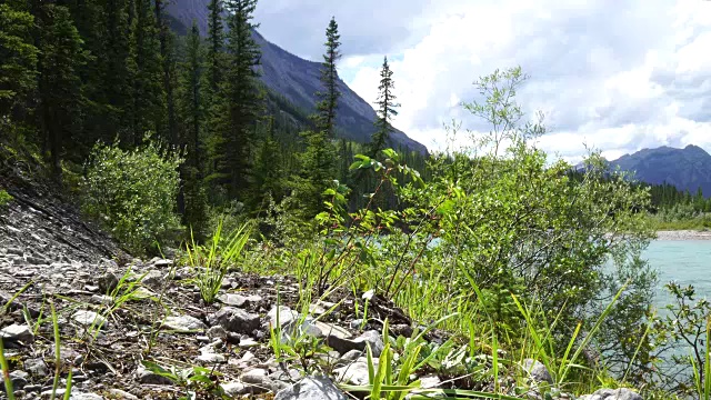 低视野的山地车沿着河边的小径视频素材