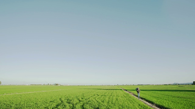 旅行者沿着绿色的稻田走着。年轻的冒险的成年人在田园诗般的户外旅行，可以在越南或中国拍摄，但在西班牙拍摄。视频素材