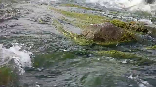 河流瀑布岩苔视频素材