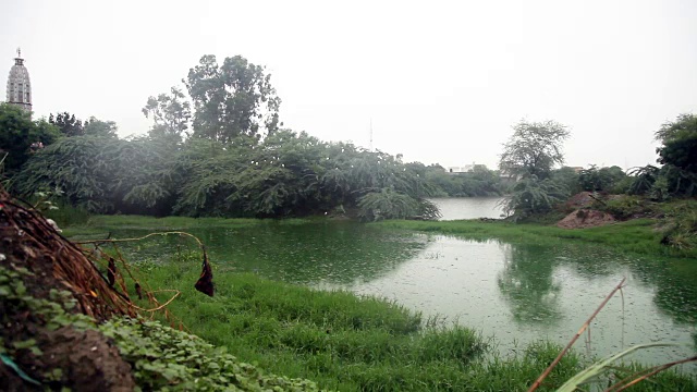 池塘里的一滴雨视频素材