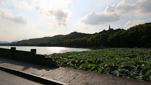 中国杭州西湖上的断桥对荷花田风景视频素材