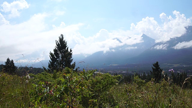 山地车穿过长满草的山脊，向群山走去视频素材