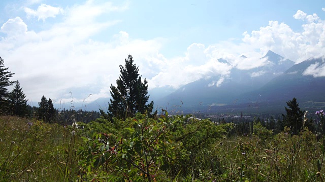 山地车穿过长满草的山脊，向群山走去视频素材