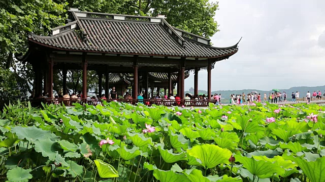 位于中国杭州西湖的圣荷园周围的亭子视频素材