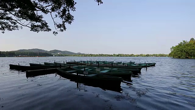 中国杭州的西湖上停靠着许多船只视频素材