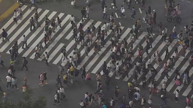 HD东京涩谷十字路口，日本视频素材