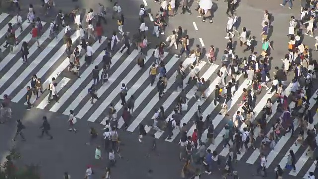 日本涩谷穿越视频素材