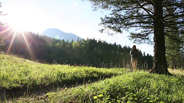 男性徒步旅行者沿着山间小径穿过森林，草地视频素材