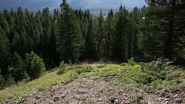 山地自行车下山陡峭的斜坡，从树脊顶视频素材