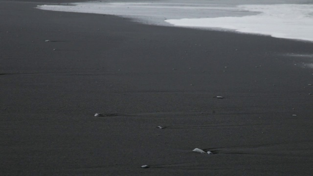 在冰岛的Vik I Mydal，一股海浪拍打在海滩上视频素材