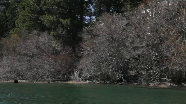 边POV的太浩湖和山边视频素材