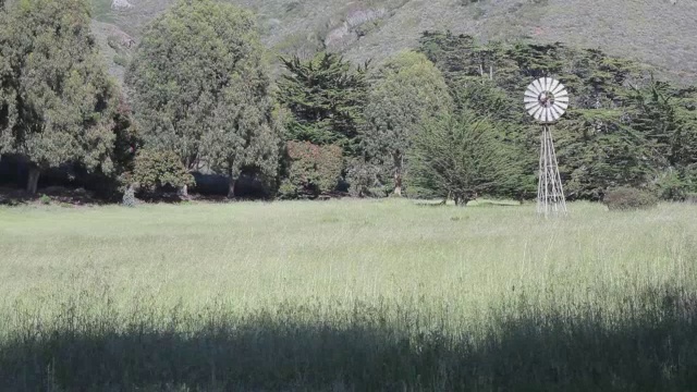 中景:田野里的风车视频素材