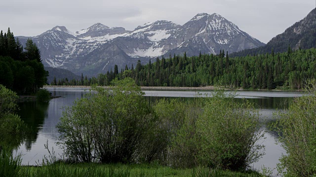 从银湖平原的Timpanogos山的观点视频素材