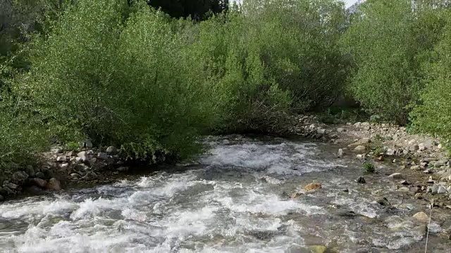 河流顺流而下，消失在灌木丛中。视频素材