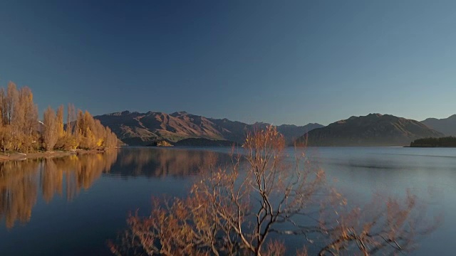 树在湖视频素材