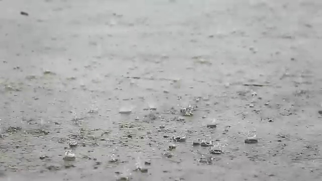 雨滴管视频下载