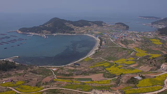 清山渡岛沿海村庄鸟瞰图视频素材