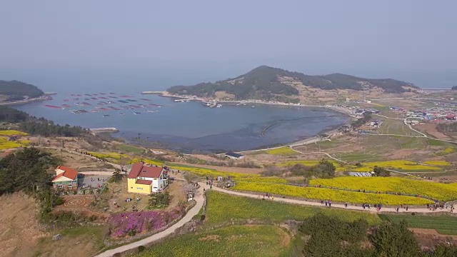 清山渡岛沿海村庄鸟瞰图视频素材