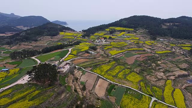 清山渡岛沿海村庄鸟瞰图视频素材