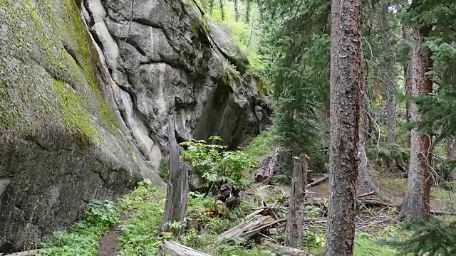 年轻女子徒步埃文斯山荒野科罗拉多落基山脉视频素材