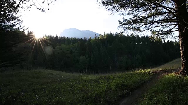 骑山地自行车的人沿着小路穿过草地，望向群山和森林视频素材